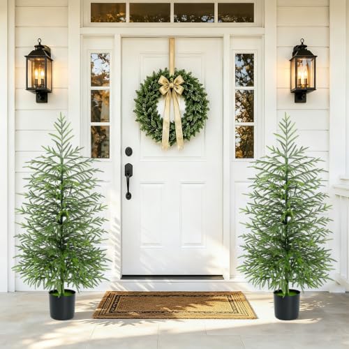 4 Ft Real Touch Norfolk Pine Christmas Tree with Lights - Yastouay, Tabletop