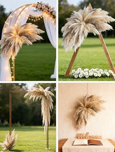 DIY Boho Dried Pampas Grass Wall Decor Kit for Home and Wedding