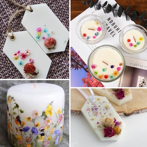 300 PCS Mini Dried Flowers for Resin Jewelry, Soap, and Candle Making