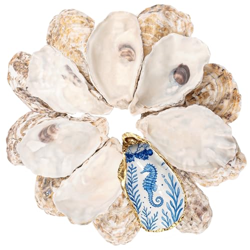 30 Pcs 4-5 Inch Natural Concave Oyster Shells for DIY Crafts & Decor
