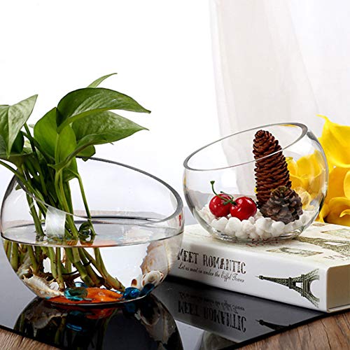 Clear Slant Cut Glass Bowl Vase - 7-Inch Decorative Terrarium & Candy Dish