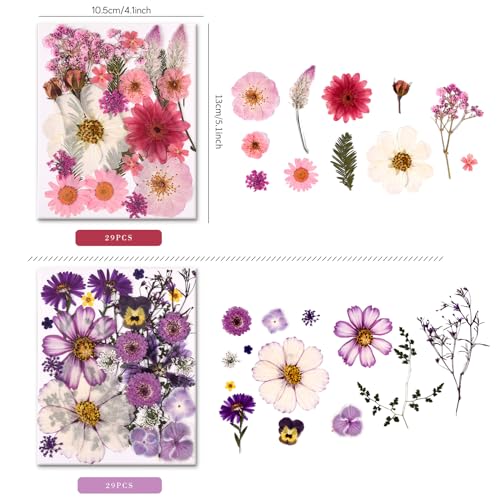 Pressed Dried Flowers and Leaves Set with Tweezers - 140 Pcs for Resin Art