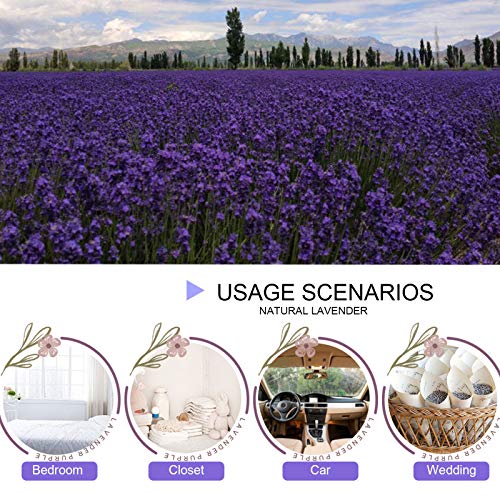 Dried Lavender Buds Bulk (1/2 lb) for Crafts, Sachets & Wedding Toss