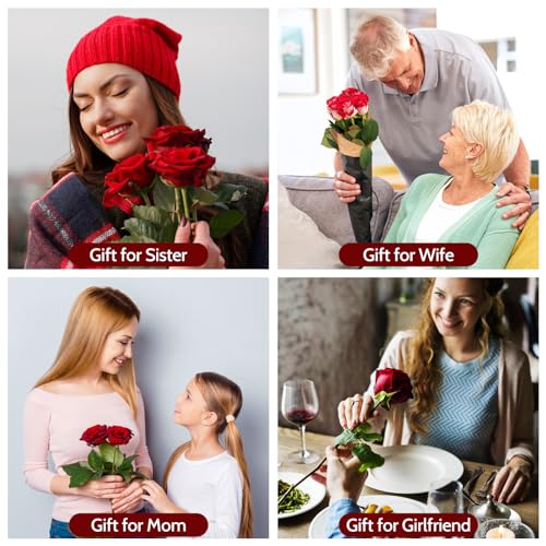 Preserved Rose Gift Set (5 Roses) for Mom Grandma - Eternal Real Rose, 30-32 cm stems