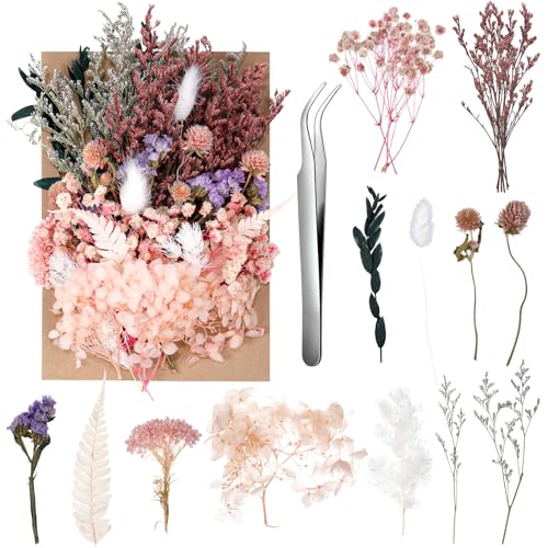 Natural Dried Pressed Flowers for Resin Art, Candle Making and DIY Crafts