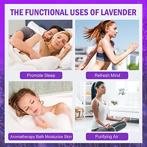 Natural Dried Lavender Flower Bundles for Home Decor and Fragrance