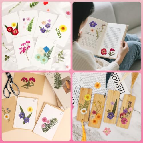 420 Pcs Real Dried Pressed Flowers & Leaves for Resin Crafts & DIY