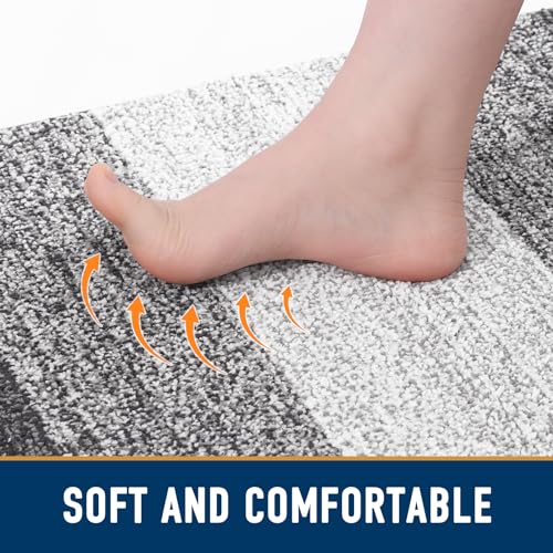 Absorbent Dog Doormat for Muddy Paws - 30x20 Inch Non-Slip Entryway Rug