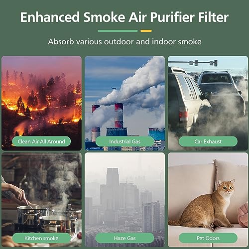 3-Stage Pet Care Replacement Air Filter with Activated Carbon 2 Pack