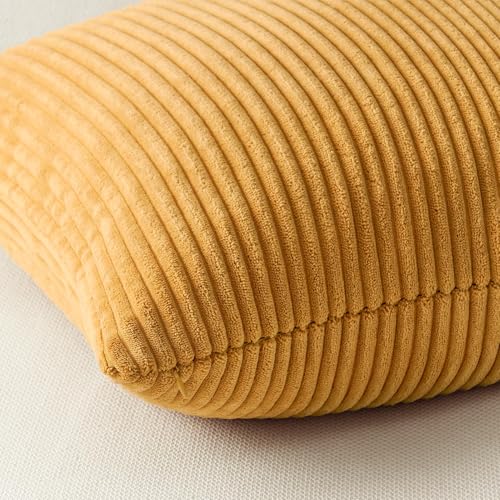 Topfinel Decorative Throw Pillow Covers Set of 4 (18x18 Soft Cushion Cases)