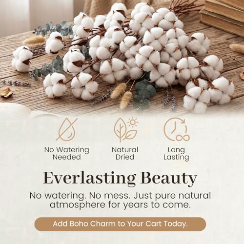 Natural Dried Cotton Stems for Vase Fillers & DIY Crafts - 8 Pack (16-Inch)