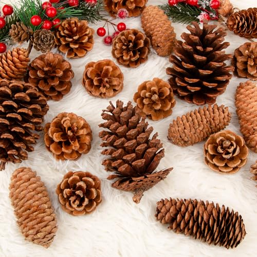 54 PCS Natural Pine Cones for Crafts Set Medium & Extra Large 1.2"-4"