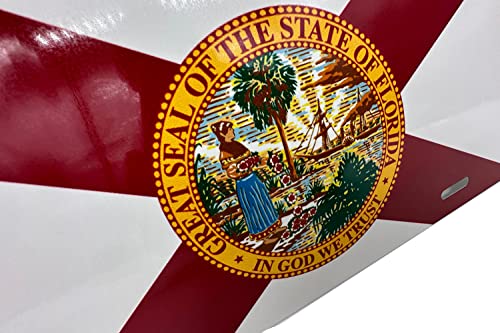 Florida Sunshine State Aluminum Vanity License Plate - 6x12 Inch Auto Decor