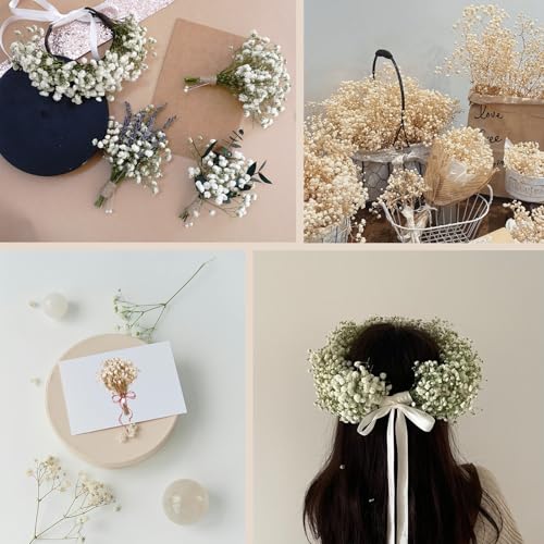 Preserved Dried Baby's Breath Bouquet - 7-inch Natural White Gypsophila