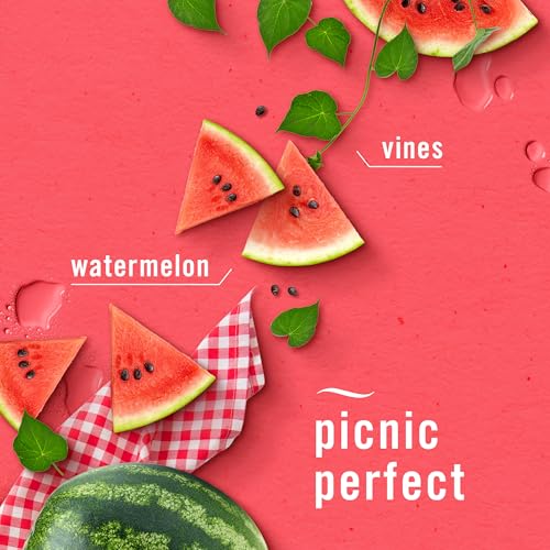 Small Space Air Freshener & Odor Eliminator - Lilac & Watermelon (4 Pack)