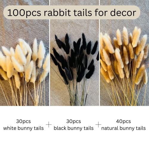 100 Stems Dried Bunny Tails Grass - Natural Black White & Brown Boho Decor