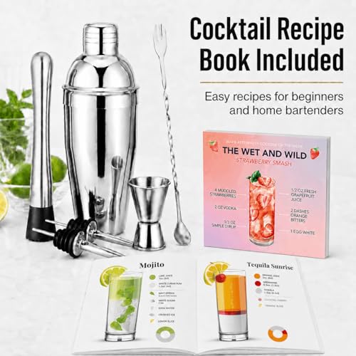 Semderm 6-Piece Stainless Steel Cocktail Shaker Set with Muddler, Jigger & Pourers