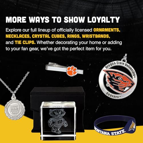 University of Iowa Silver Ornament - Fan Frenzy Gifts Iowa Hawkeyes Officially Licensed