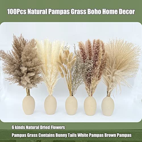 100 Pcs Natural Dried Pampas Grass & Bunny Tails Set - 17 Inch Boho Decor