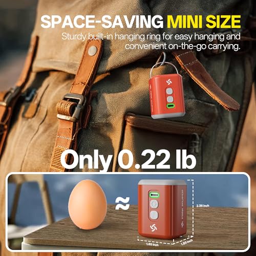 Portable Air Mattress Pump with 3-Level Camping Light
