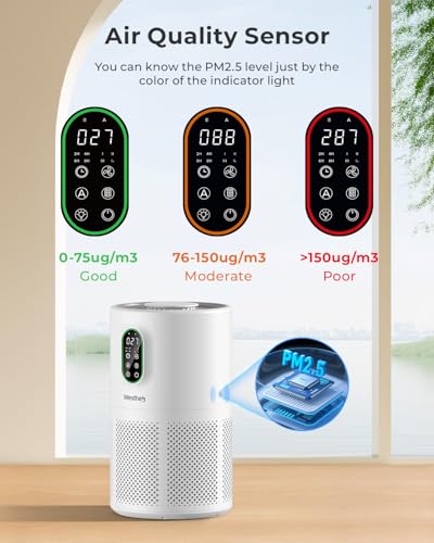 H13 HEPA Air Purifier for Home Large Rooms with PM2.5 Display and Auto Mode