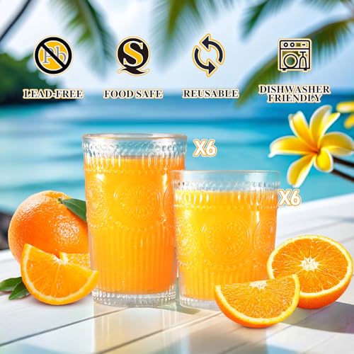 Loivttvv 12oz Vintage Clear Ribbed Highball Glasses Set - Embossed Sunflower Pattern for Cocktails Water Juice & Whiskey