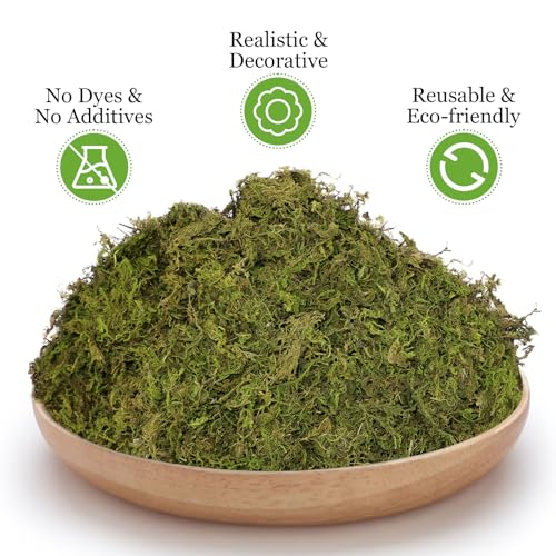 Natural Dried Green Moss for Crafts, Fairy Gardens, and Potted Plants 1.3LB