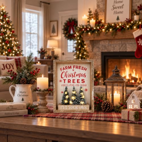 Eternhome Christmas Lighted Tabletop Decor with 6H On/18H Off Timer
