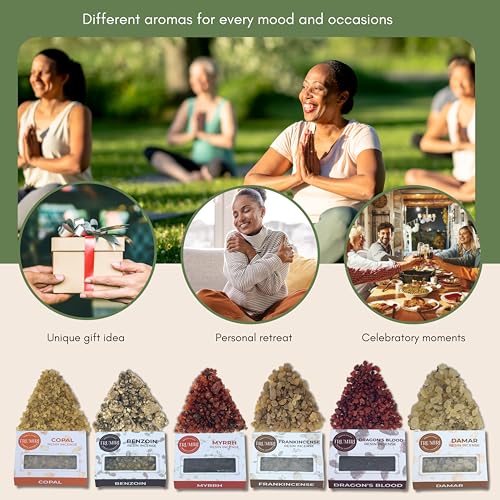 Natural Resin Incense Variety Pack - 6 x 30g Frankincense Myrrh & More