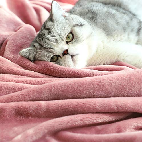 TASTHROW Large Flannel Fleece Throw Blanket, 50x70 Inch - Soft 350GSM Cozy Plush