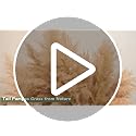 46-Inch Tall Dried Pampas Grass Decor - 10 Stems Fluffy Boho Floral Bouquet