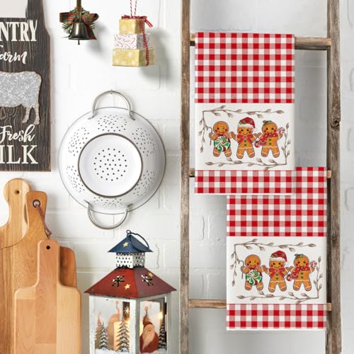 Artoid Mode Red Candy Christmas Kitchen Towels Set of 2 18x26 Inches