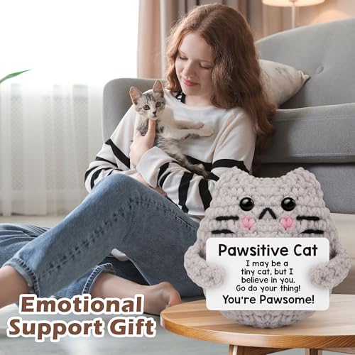Mini Crochet Cat Affirmation Gift with Motivational Card for Desk Decor
