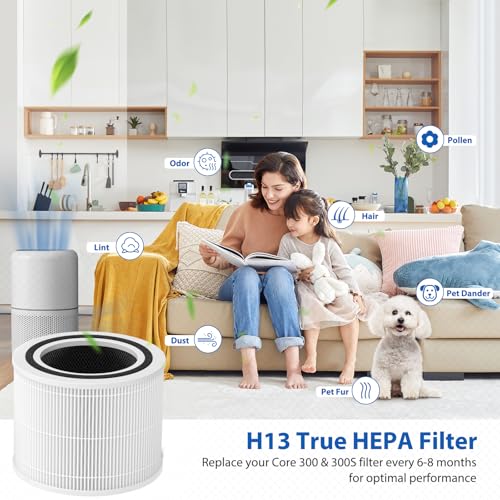 3-in-1 H13 True HEPA Air Purifier Replacement Filter 2-Pack
