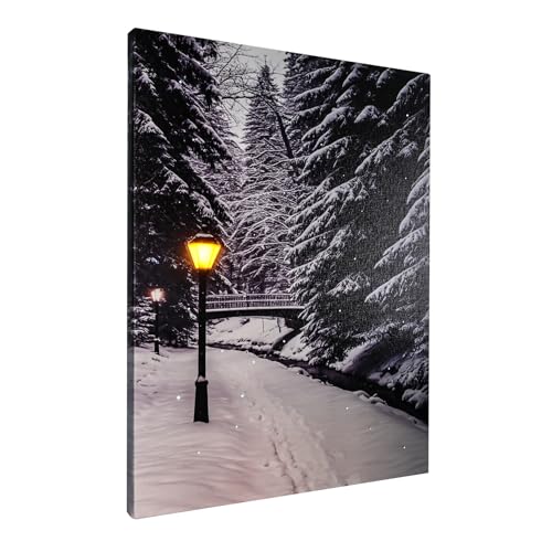 DEMAGNNIE Lighted Fiber Optic Snowy Landscape Wall Art 17x14 in