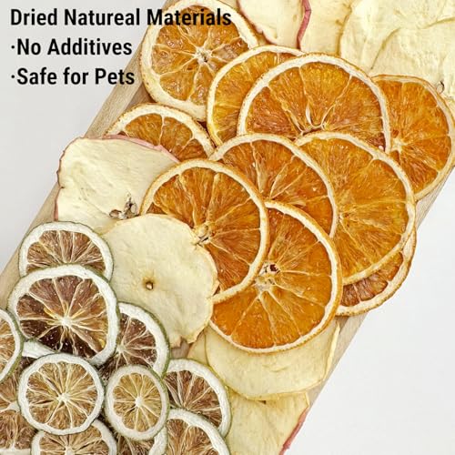 Stovetop Simmer Pot Potpourri Kit with Dried Citrus and Apple Slices