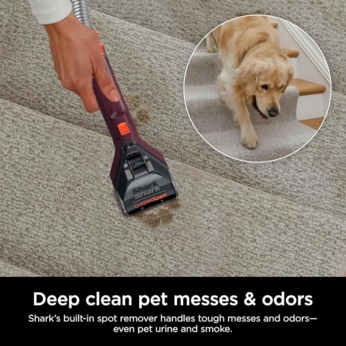 Upright Carpet & Upholstery Cleaner with Built-in Spot Stain Eliminator