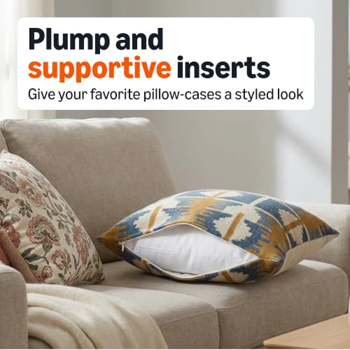 Amazon Basics 18x18" Square Throw Pillow Inserts, Down Alternative (2-Pack)