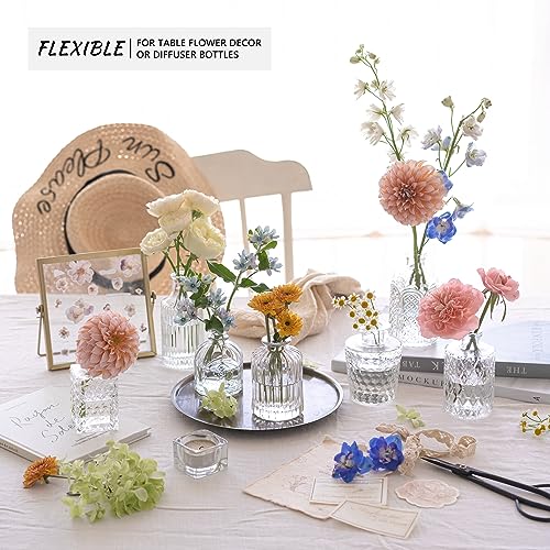 12-Piece Clear Glass Bud Vase Set - Vintage Mini Flower Vases for Centerpieces