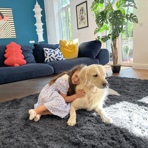 OLANLY Soft Fluffy Shaggy Area Rug 4x5.9 ft Machine Washable Grey