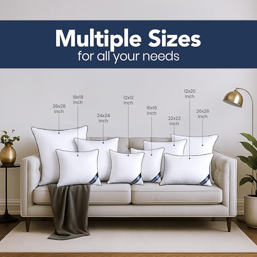 18x18 Throw Pillow Inserts (Set of 4) - Plush Cushion Sham Stuffers