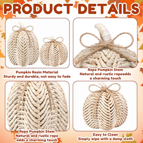 Set of 2 Resin Pumpkin Figurines, Faux Rattan White Fall Tabletop Decor