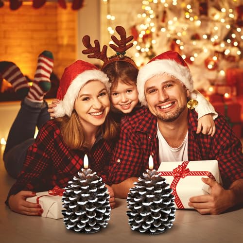 Wondise Pine Cone Flameless Candles with 6H Timer - 2 Pack 3.5" x 6" (White Variation 5-White)