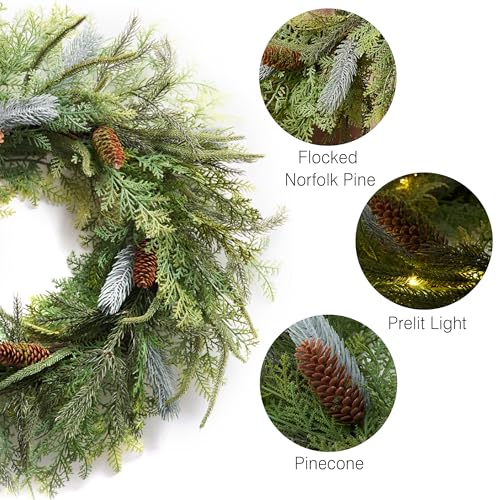 DecorbyHannah 24" Woodland Norfolk Pine Christmas Wreath with Lights - Seasonal Holiday Decor