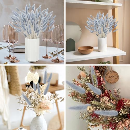 120pcs Blue Bunny Tails Dried Flowers, 16in Natural Lagurus Ovatus Grass
