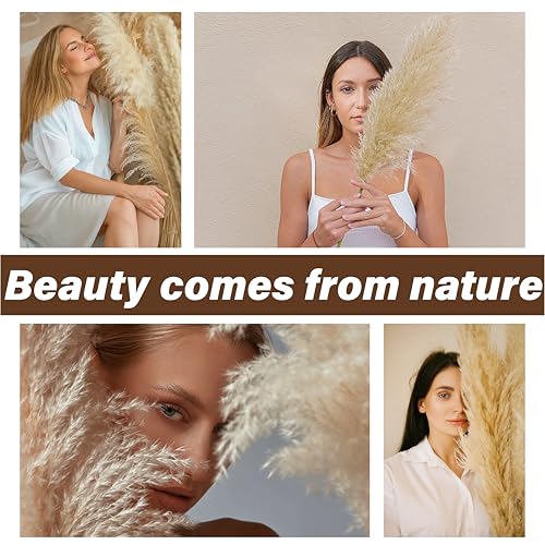 40 PCS Natural Dried Pampas Grass Stems - 17" Fluffy Boho Floral Decor