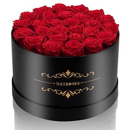27-Piece Preserved Red Roses in Gift Box - Real Everlasting Flowers