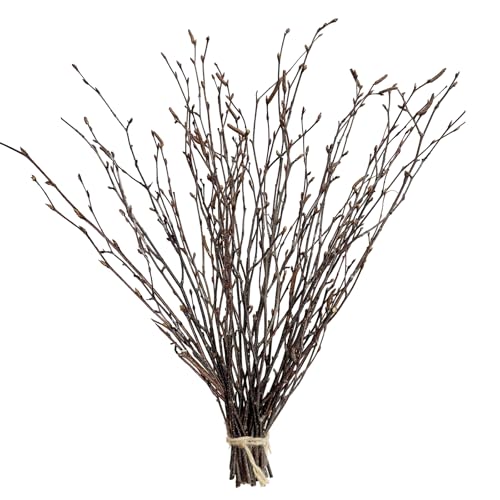 17-Inch Natural Birch Branches, Dried Twigs for Rustic Decor (30 Pack)