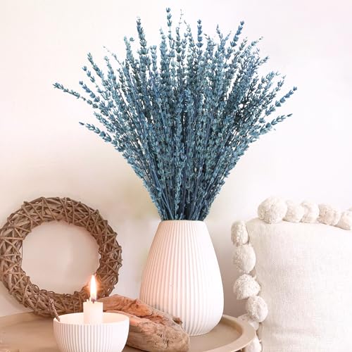 16-Inch Preserved Dried Lavender Flower Bundles, 100g Blue Bouquet