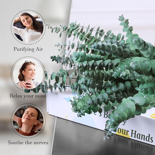 Preserved Dried Eucalyptus Stems Shower Bundle - 17 Inch Branches (30 Pcs)